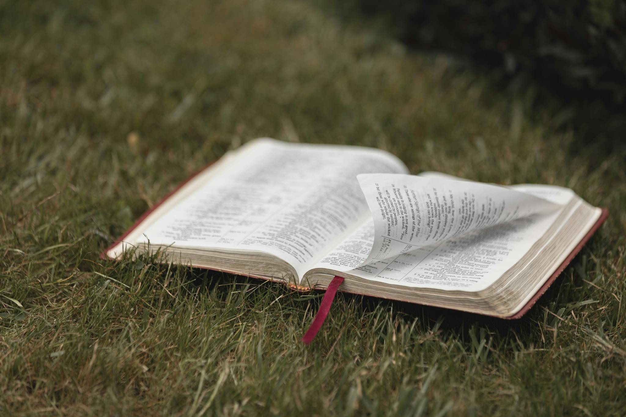 An open Bible on grassy ground, symbolizing spirituality and nature. Ideal for religious themes.