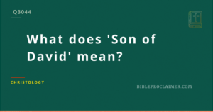What does ‘Son of David’ mean?